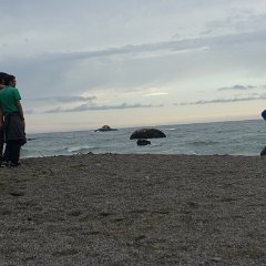 GirlsWildCat 051 : GirlsWildCat